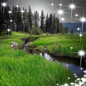 Meet your Posher, Kay